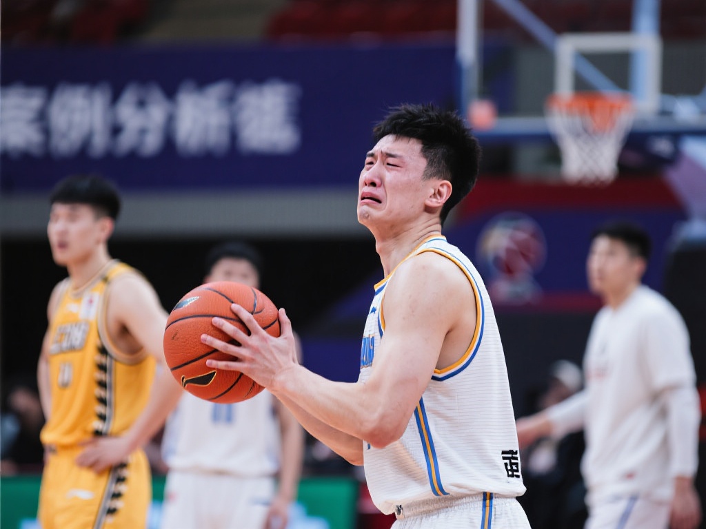 的引进还是 的引进还是