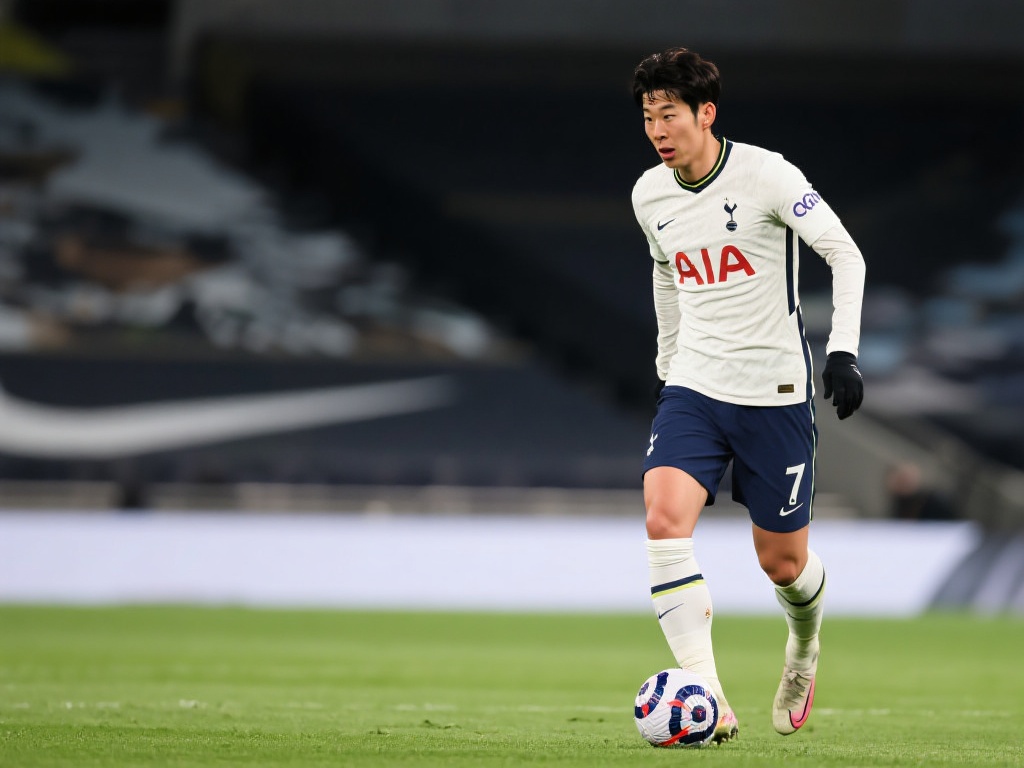 和适应性 和适应性